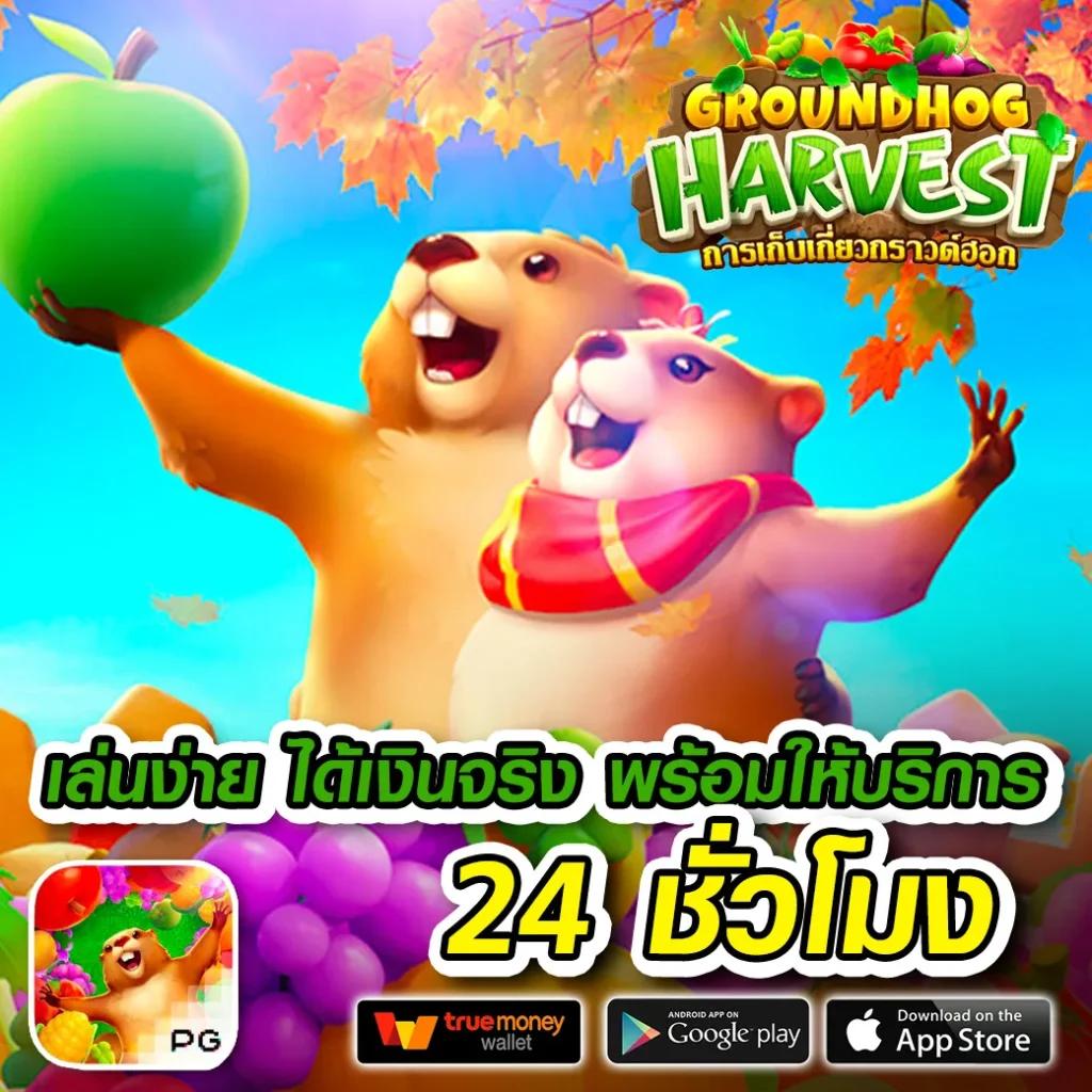 เว็บรวยหวยออนไลน์ เว็บตรง แทงง่าย จ่ายจริง อัตราจ่ายสูง