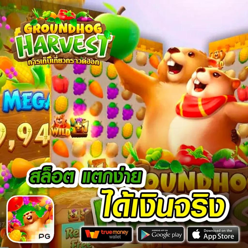 เว็บแท้ PG สุดฮิต ใหม่ล่าสุด มาตรฐานสากล ให้บริการรวดเร็ว
